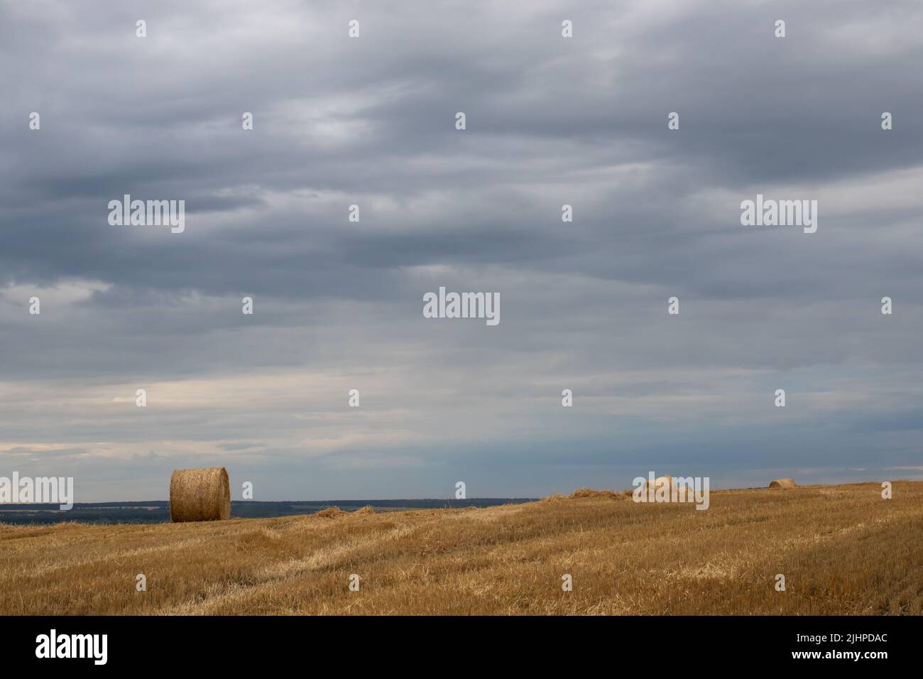 Grain field after harvesting hi-res stock photography and images - Alamy