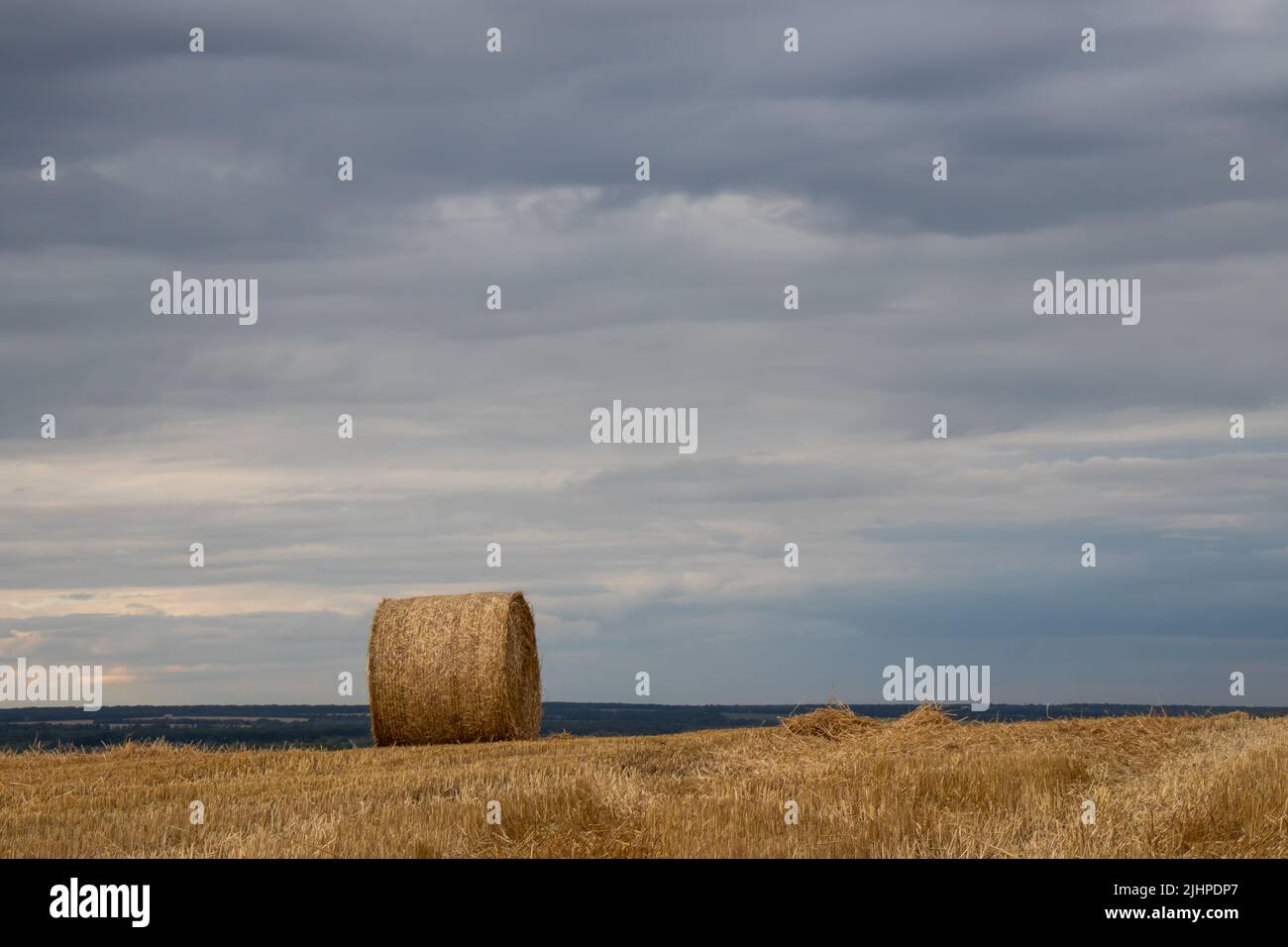 Grain field after harvesting hi-res stock photography and images - Alamy