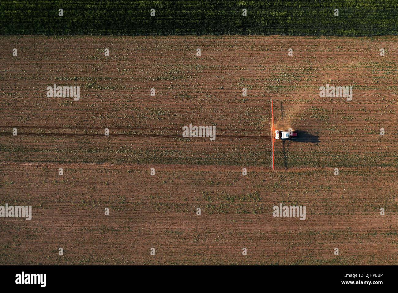 Aerial shot of agricultural tractor with crop sprayer attached spraying herbicide chemical over corn plantation, drone pov directly above Stock Photo