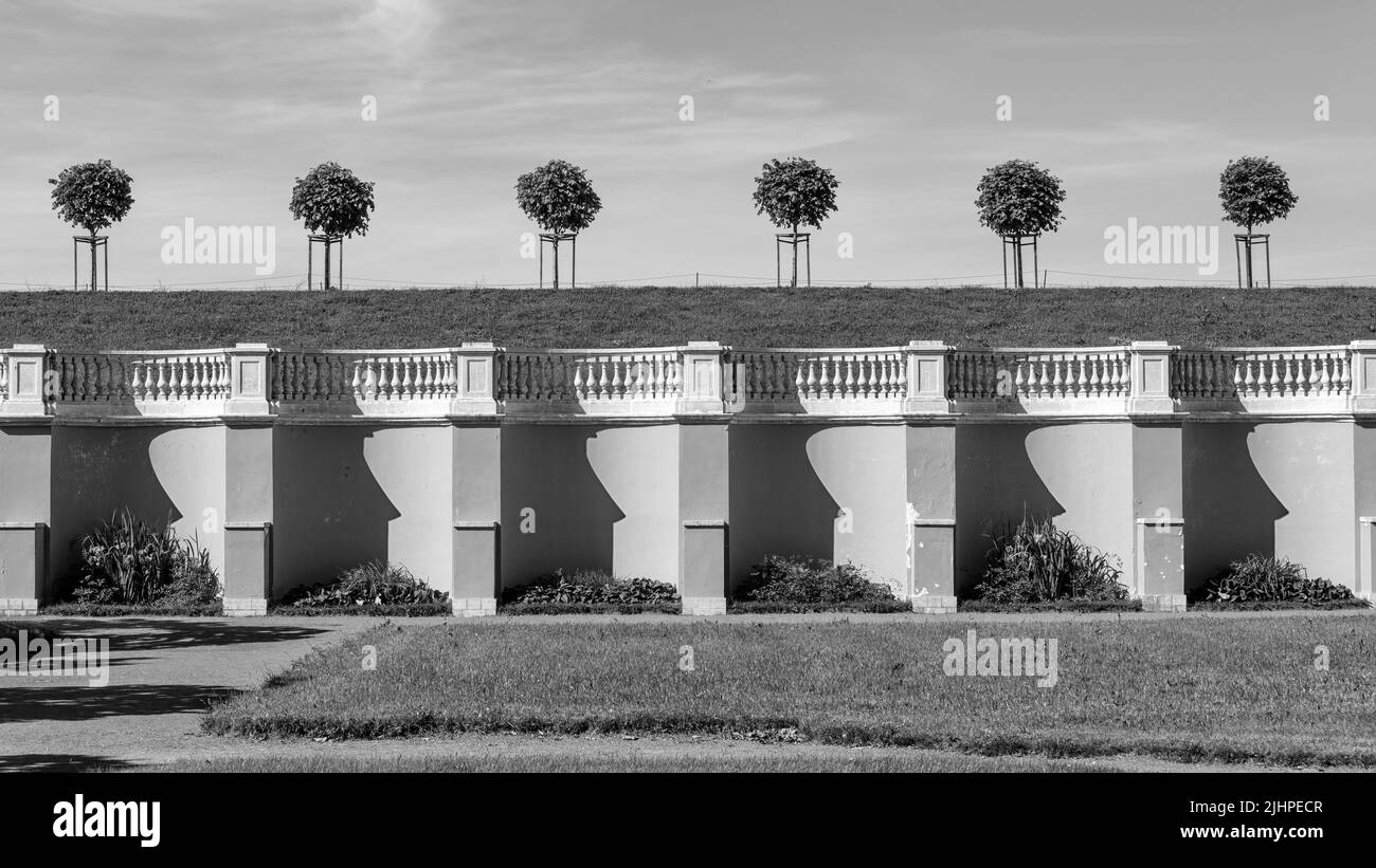 A row of trees above the balustrade in an old park. Rhythmic artistic black and white photo. Stock Photo