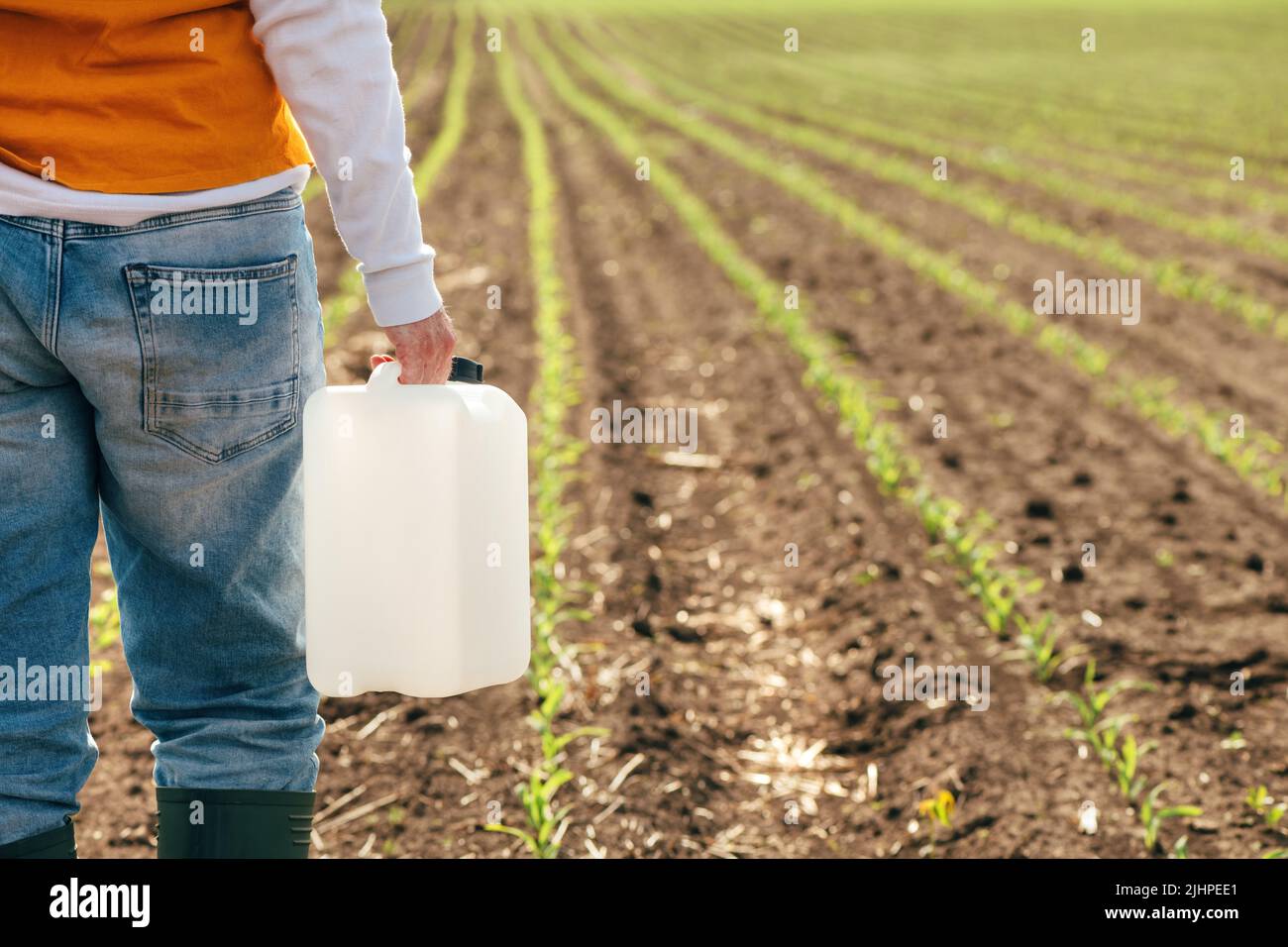 Corn crop protection concept, female farmer agronomist holding jerry can container canister with pesticide, selective focus Stock Photo