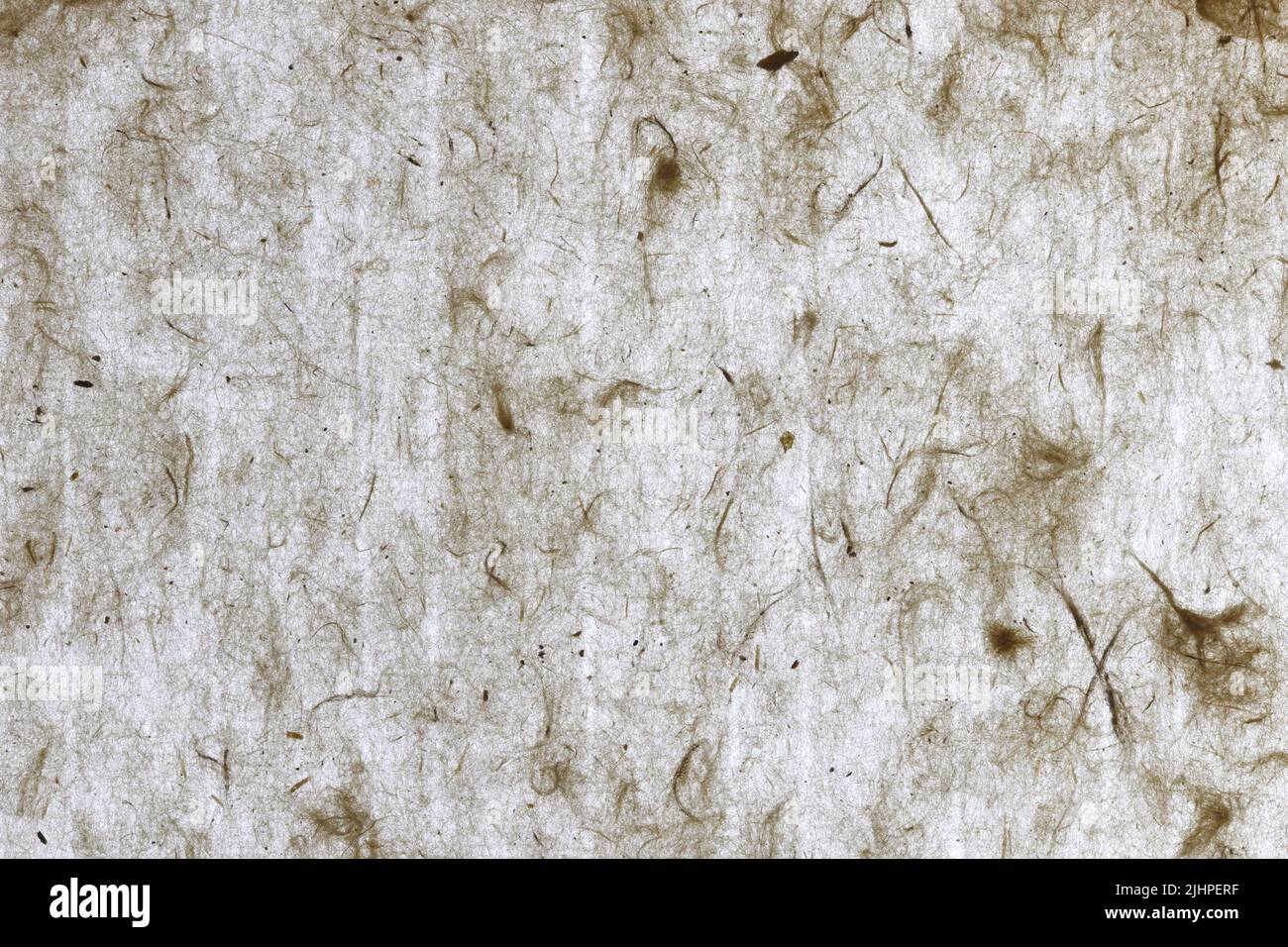 Plant fibers handmade decorated paper background. Handmade decorative