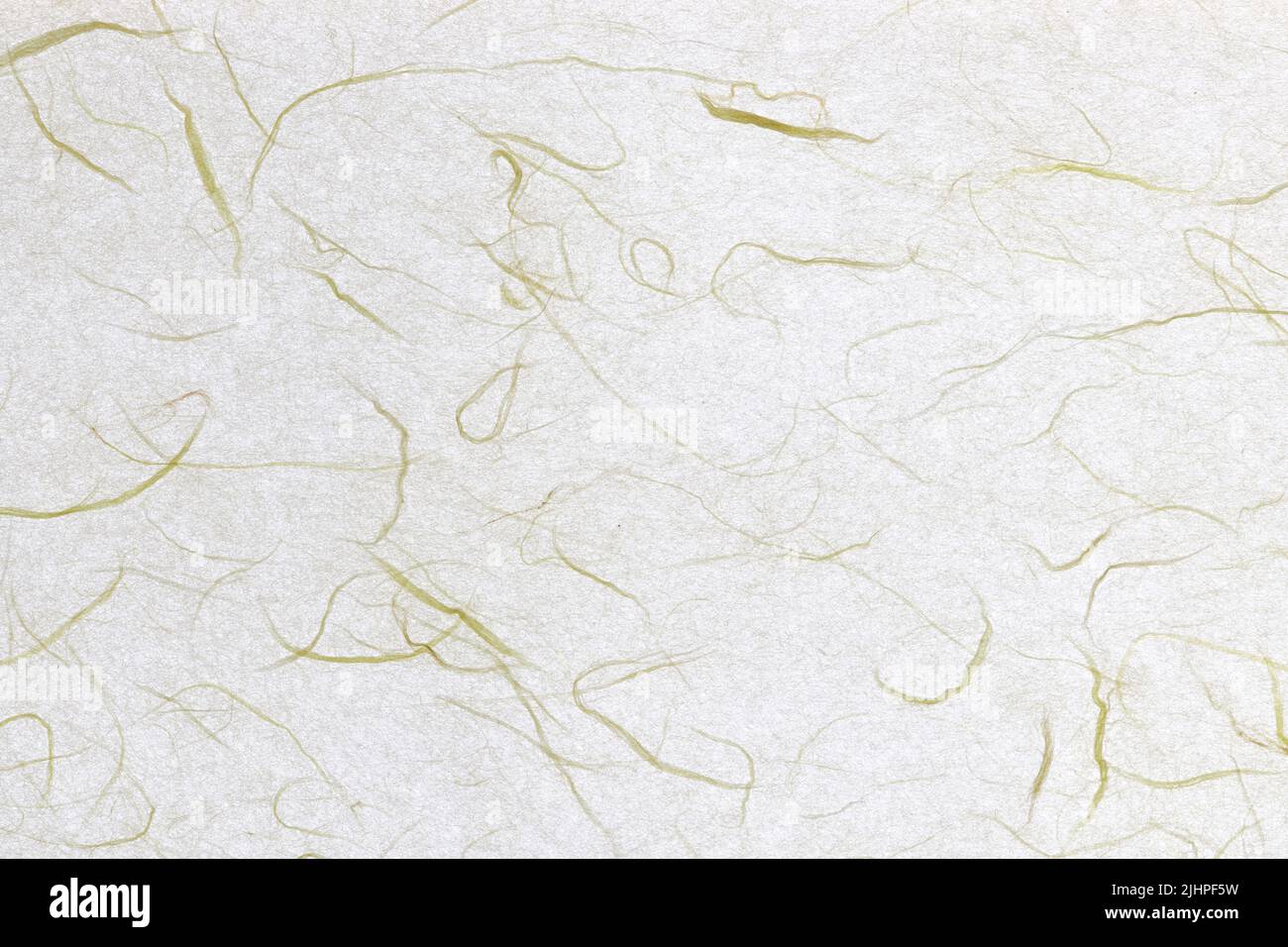 Plant fibre hairs decorated paper background. Thin silk fibers