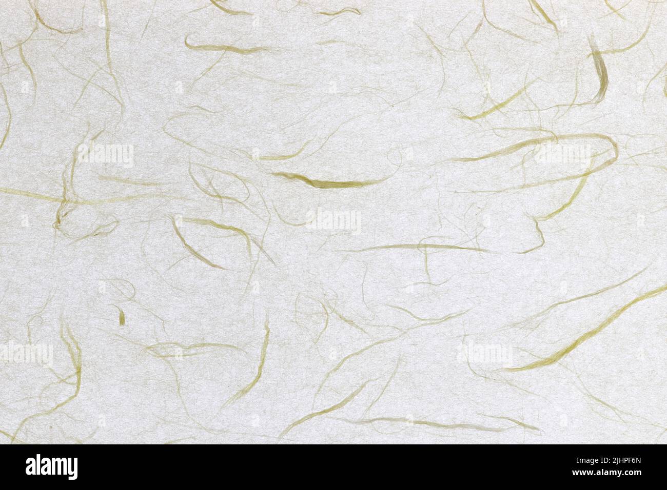 Thin fibre hi-res stock photography and images - Alamy