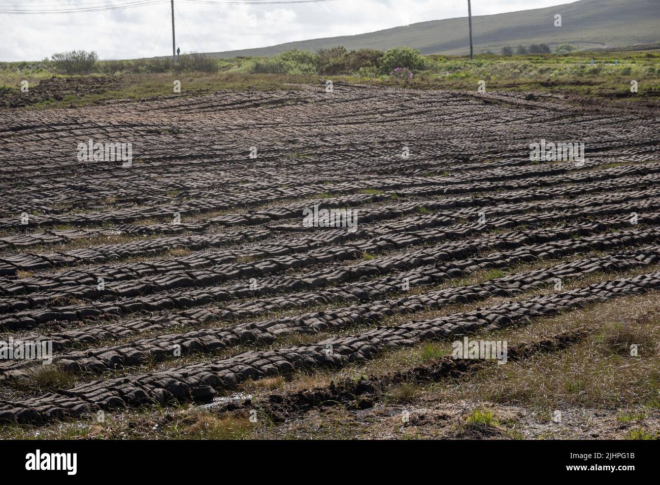 Peat drying in fields, Belmullet, Co. Mayo, Ireland Stock Photo