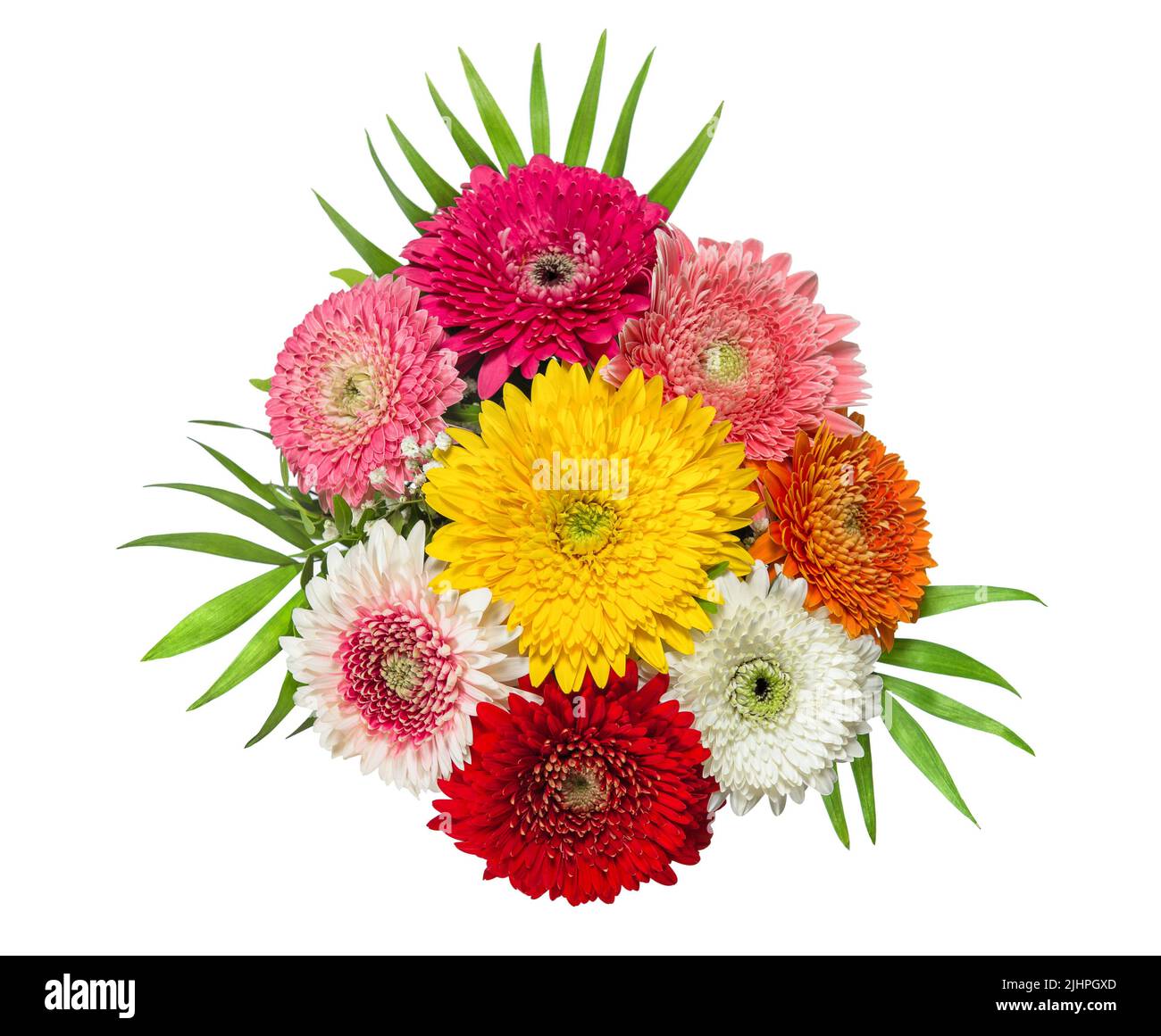 Gerbera flowers bouquet on white background top view Stock Photo
