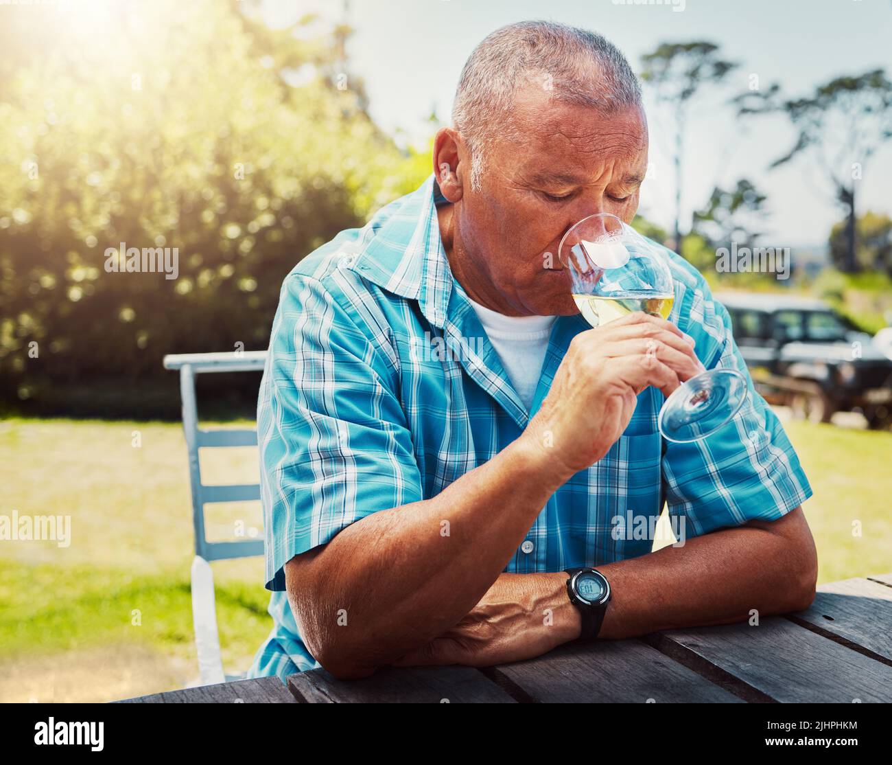 One senior mixed race man sitting alone and drinking glass of white wine during wine tasting on a vineyard. Elderly hispanic man holding and enjoying Stock Photo