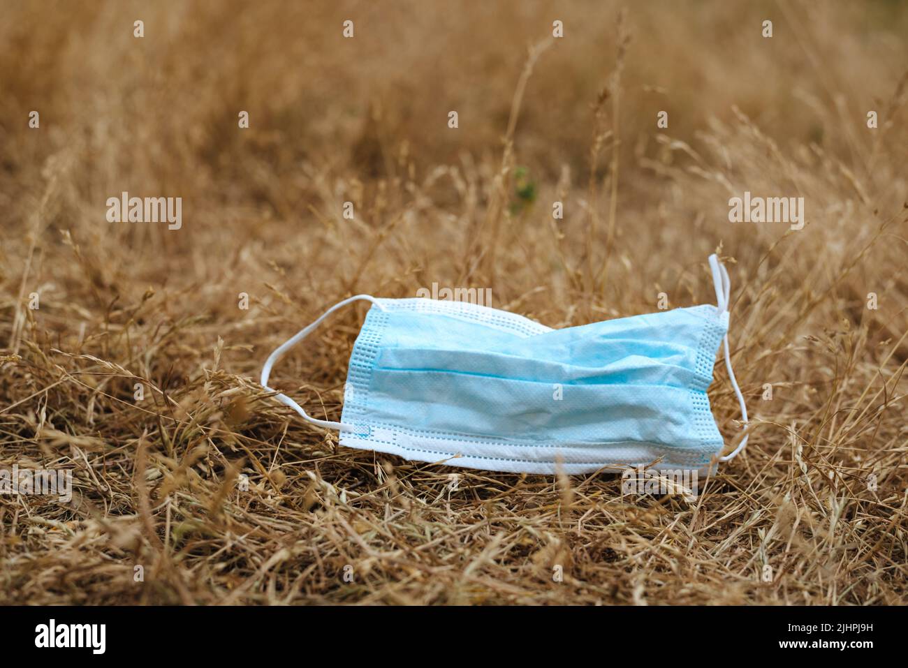 Waste during COVID-19. Blue Medical face mask thrown into nature in yellow grass. End of quarantine. Environmental pollution with plastic. Stock Photo