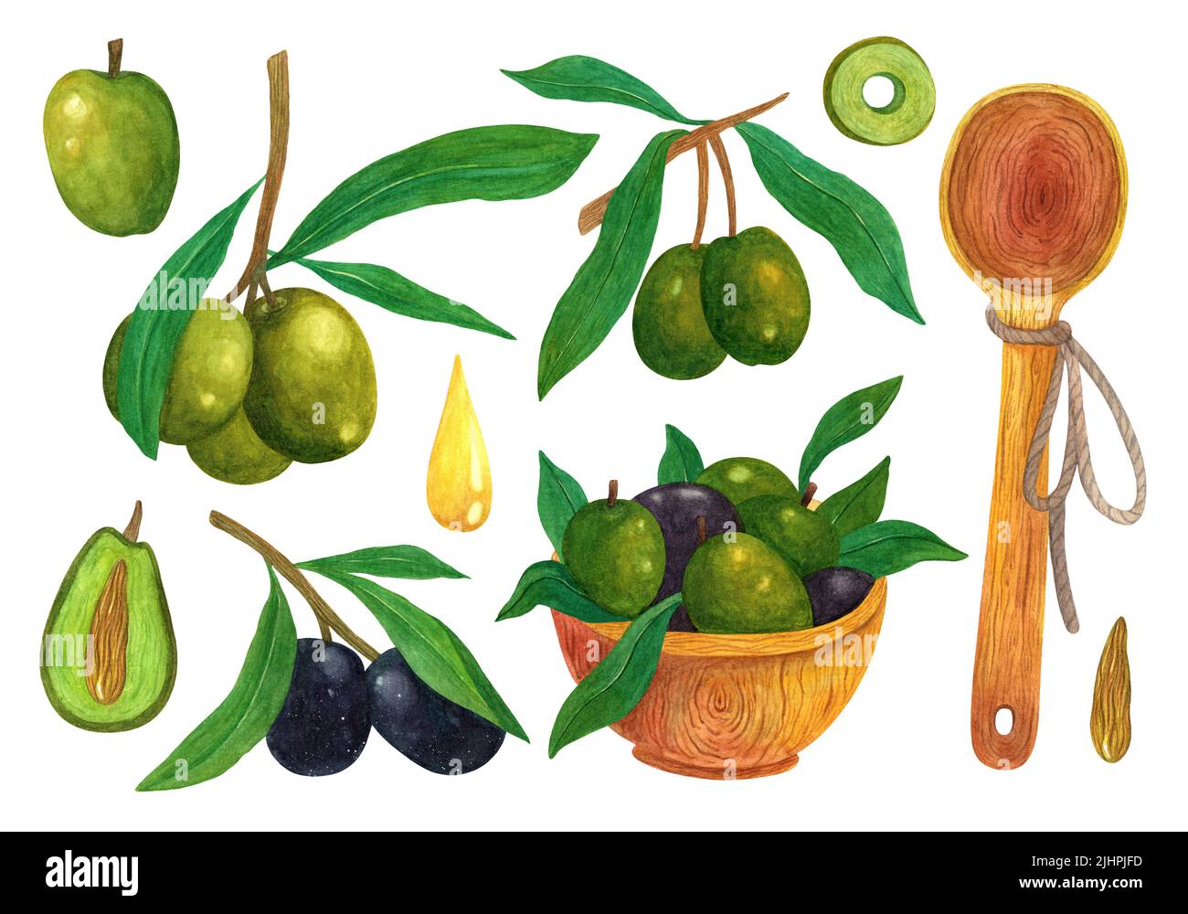 Whole olive tree Cut Out Stock Images & Pictures - Alamy