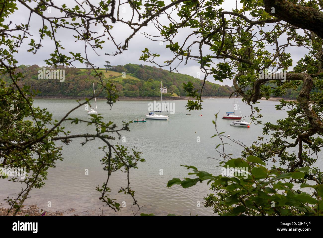 The Percuil River from opposite Porth Creek, with moored yachts: Roseland Peninsula, Cornwall, UK Stock Photo