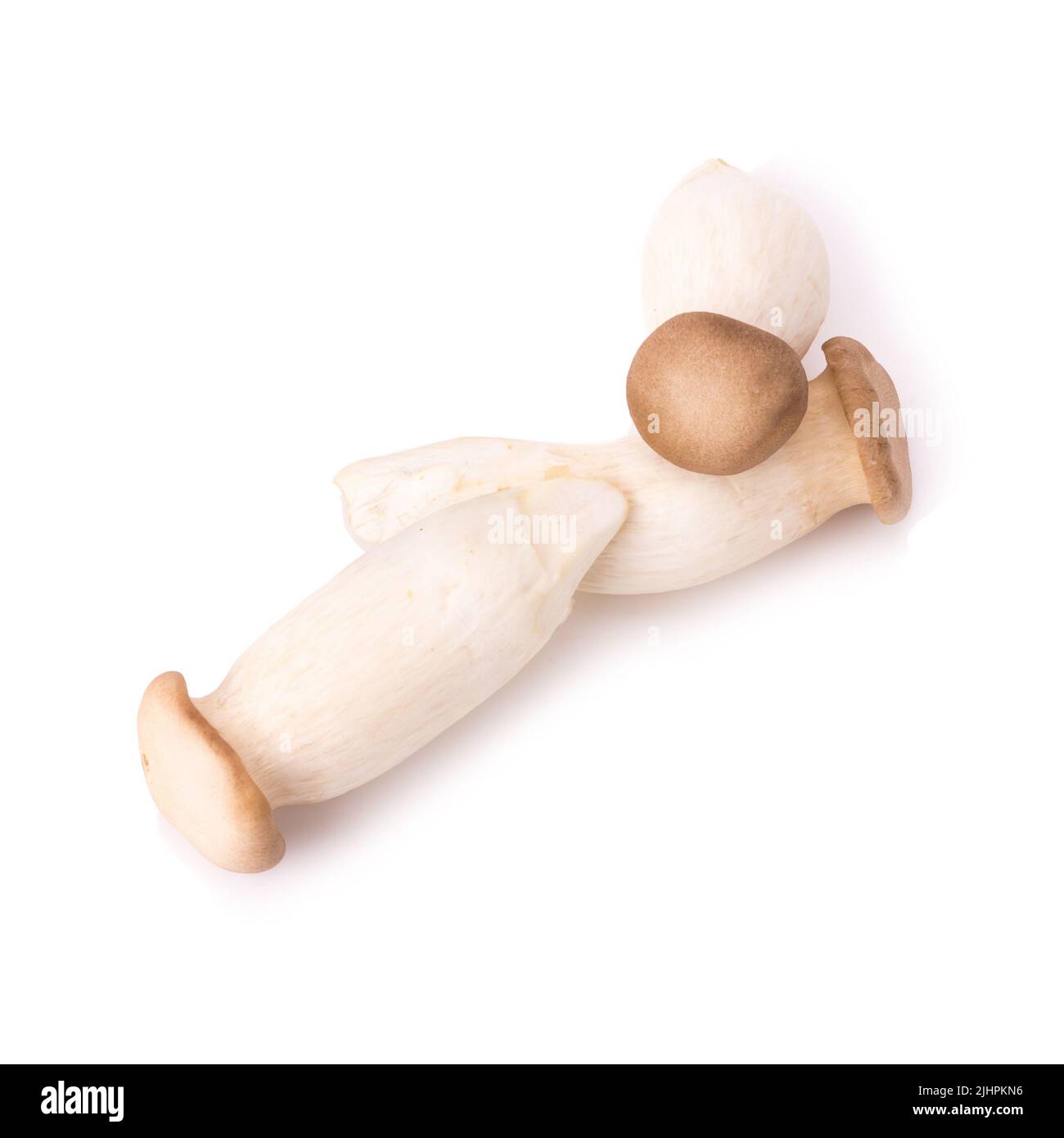 King Oyster mushroom (Eringi) on white backgroud. Stock Photo