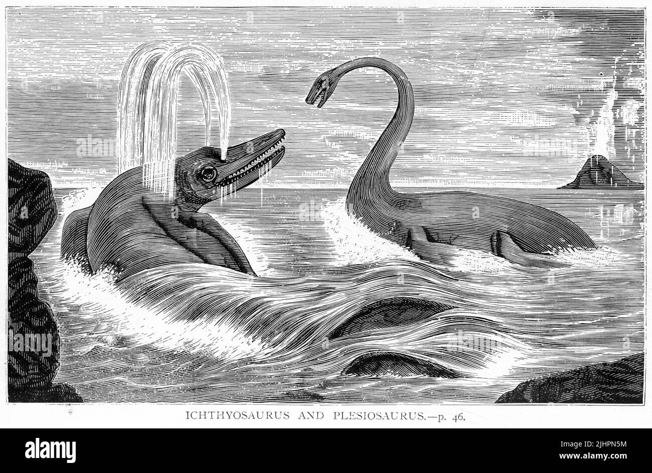 Engraving of prehistoric Ichthyosaurus and plesiosaurus Stock Photo