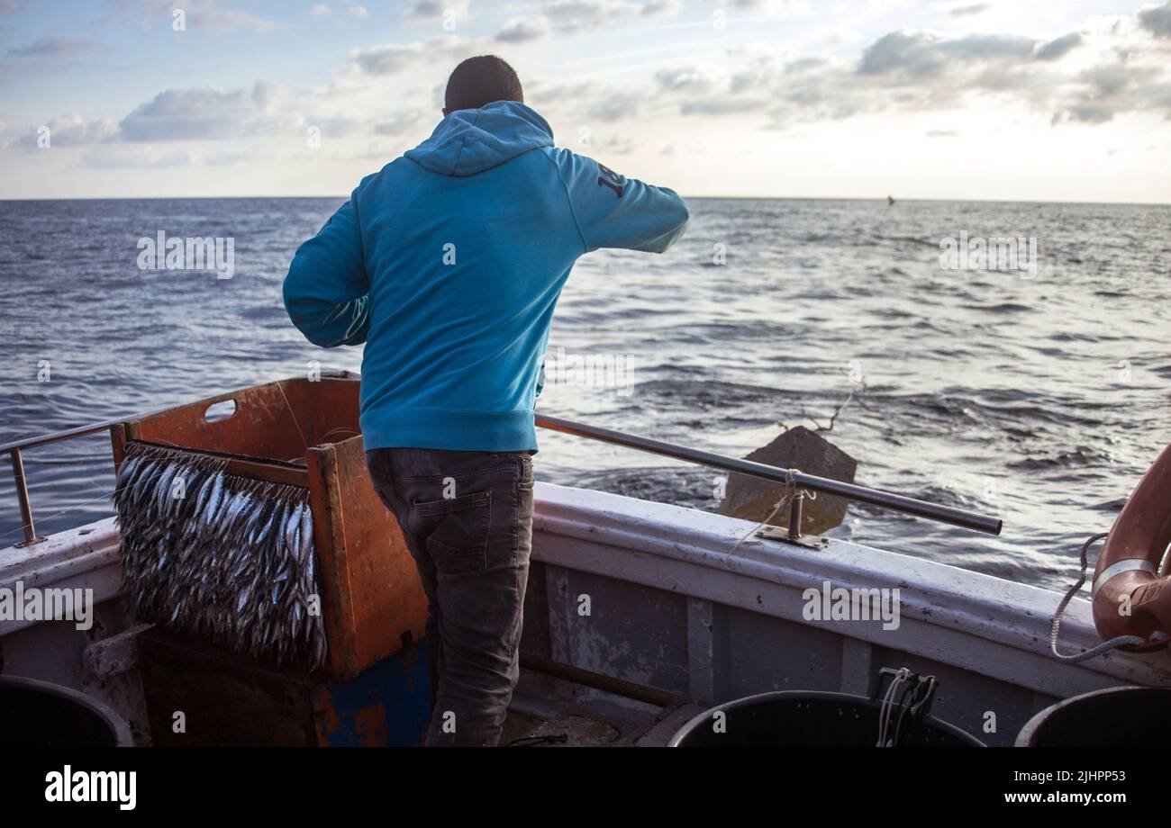Fisherman pulling the line with hooks and buoys Stock Photo - Alamy
