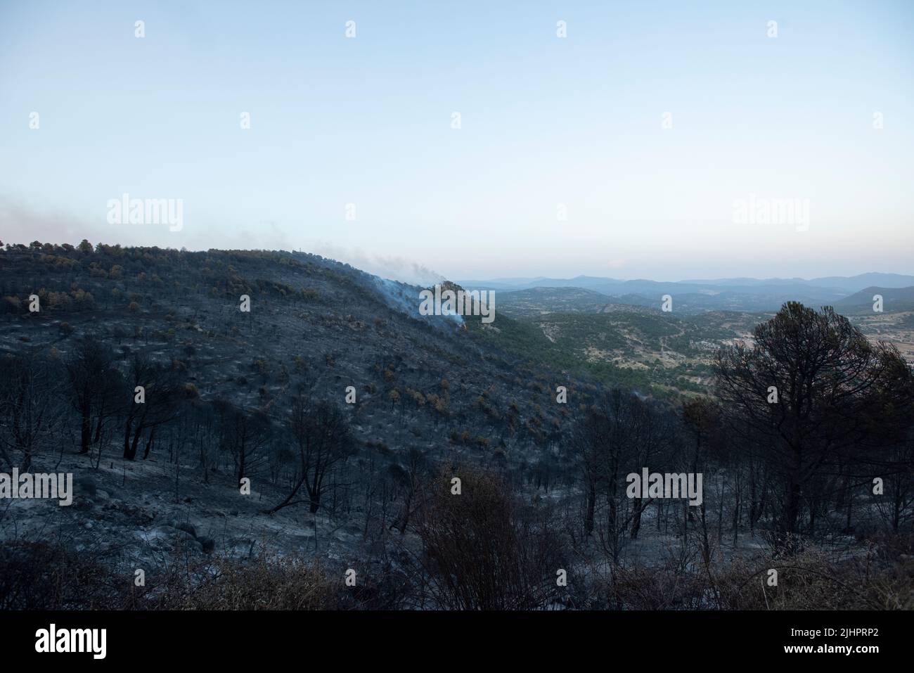 Spain Ávila Cebreros Wave of fires in Spain As a consequence of