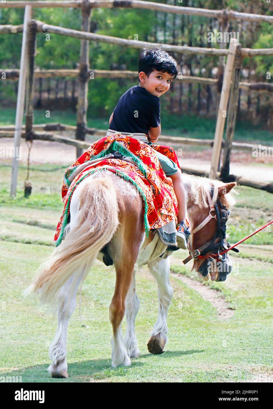 young indian baby boy enjoying on a horse or pony ride Stock Photo - Alamy