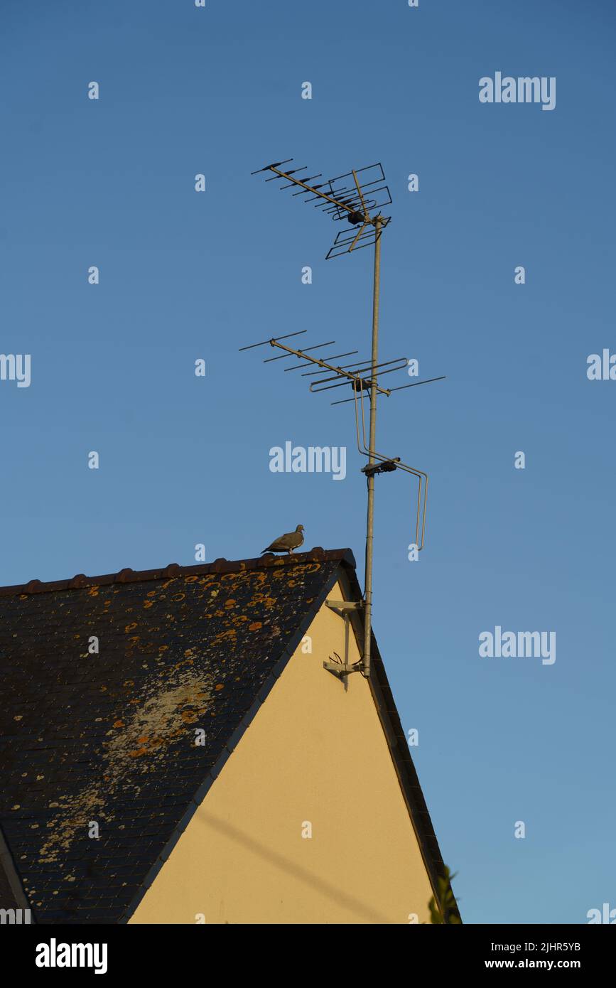 Tv antenne hi-res stock photography and images - Alamy