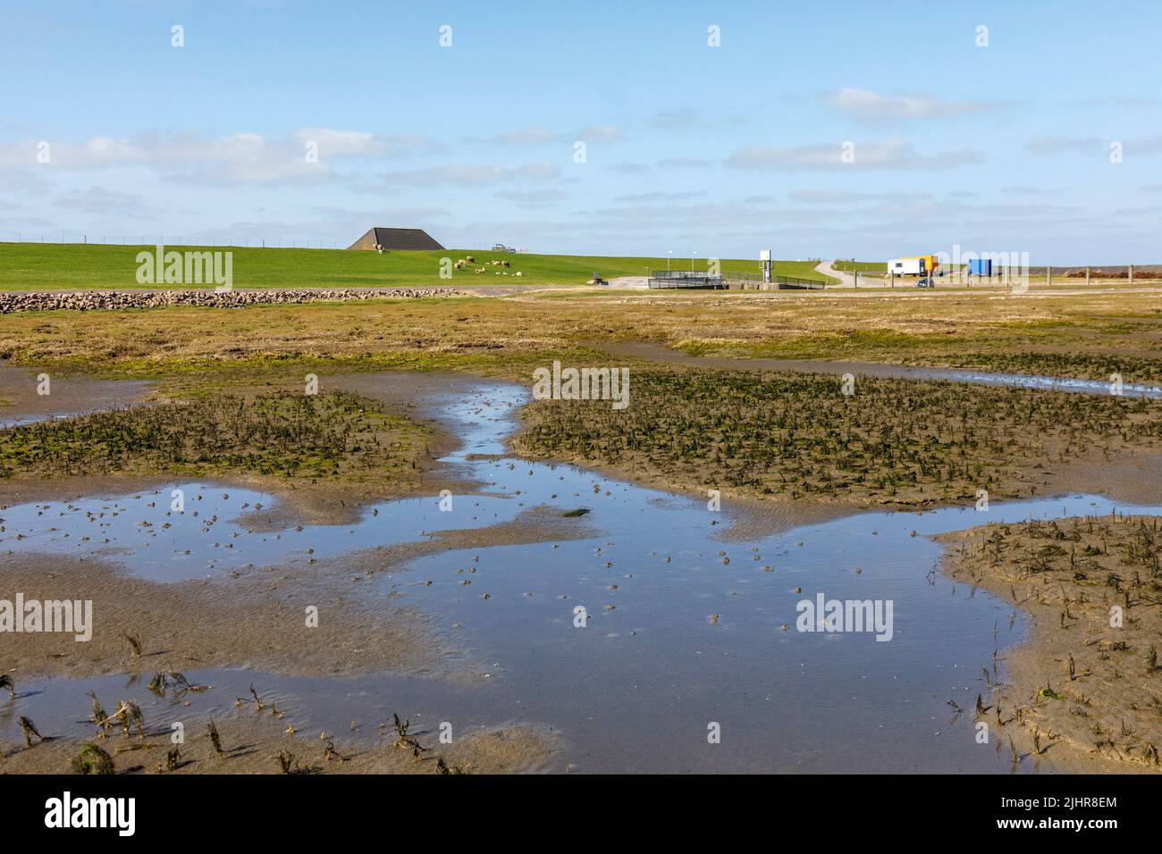 Wattlandschaft bei Tetenbüll in Nordfriesland, Blick auf den Deich am Everschopsiel Hafen Stock Photo