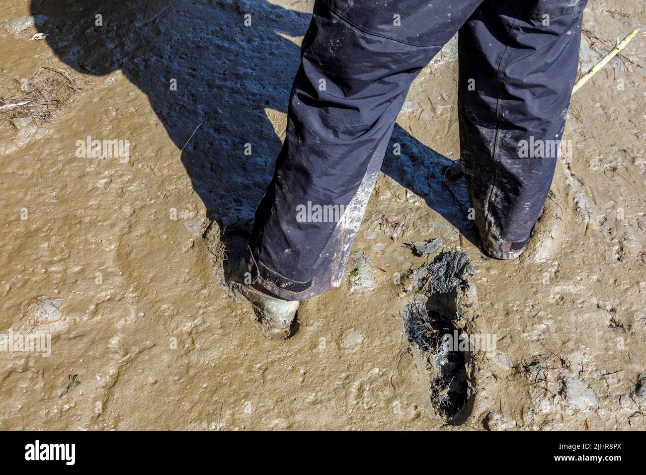Hiker in the silt in the mud flats on the North Sea coast in North Friesland Stock Photo