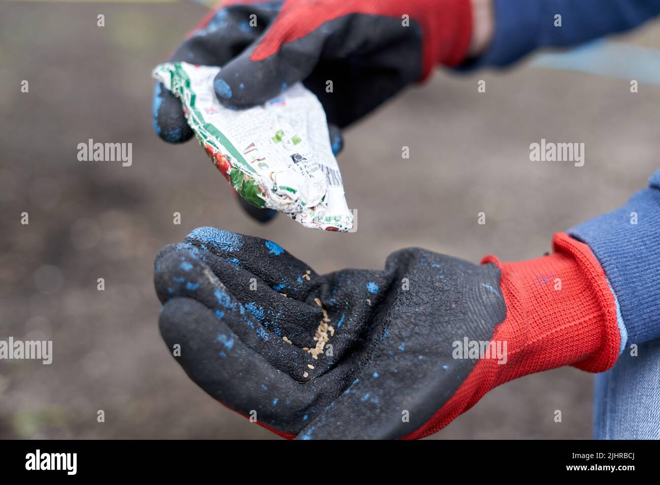 Garden gloves seed hires stock photography and images Alamy
