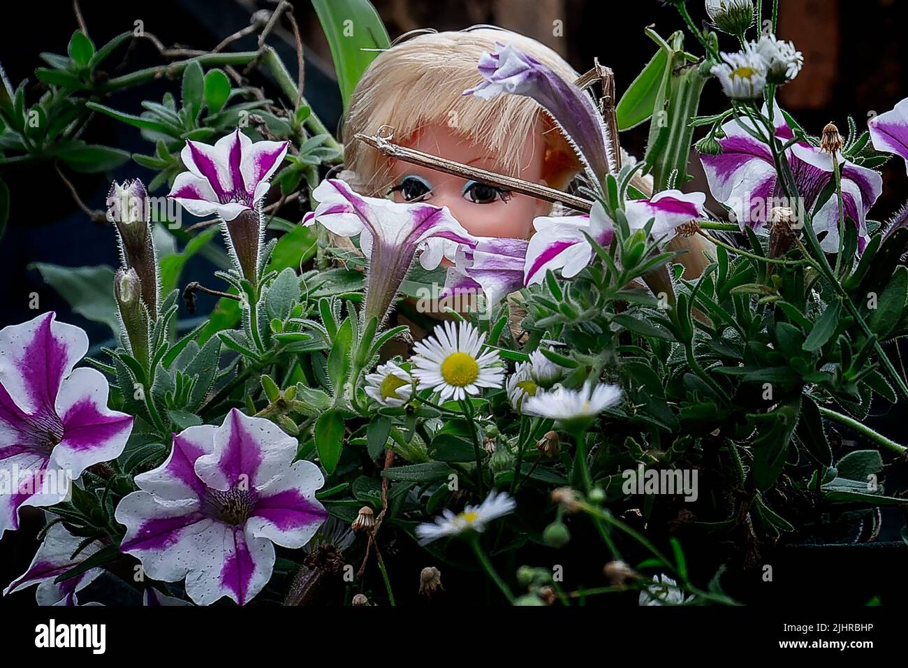 Mysterious figure in the garden Stock Photo