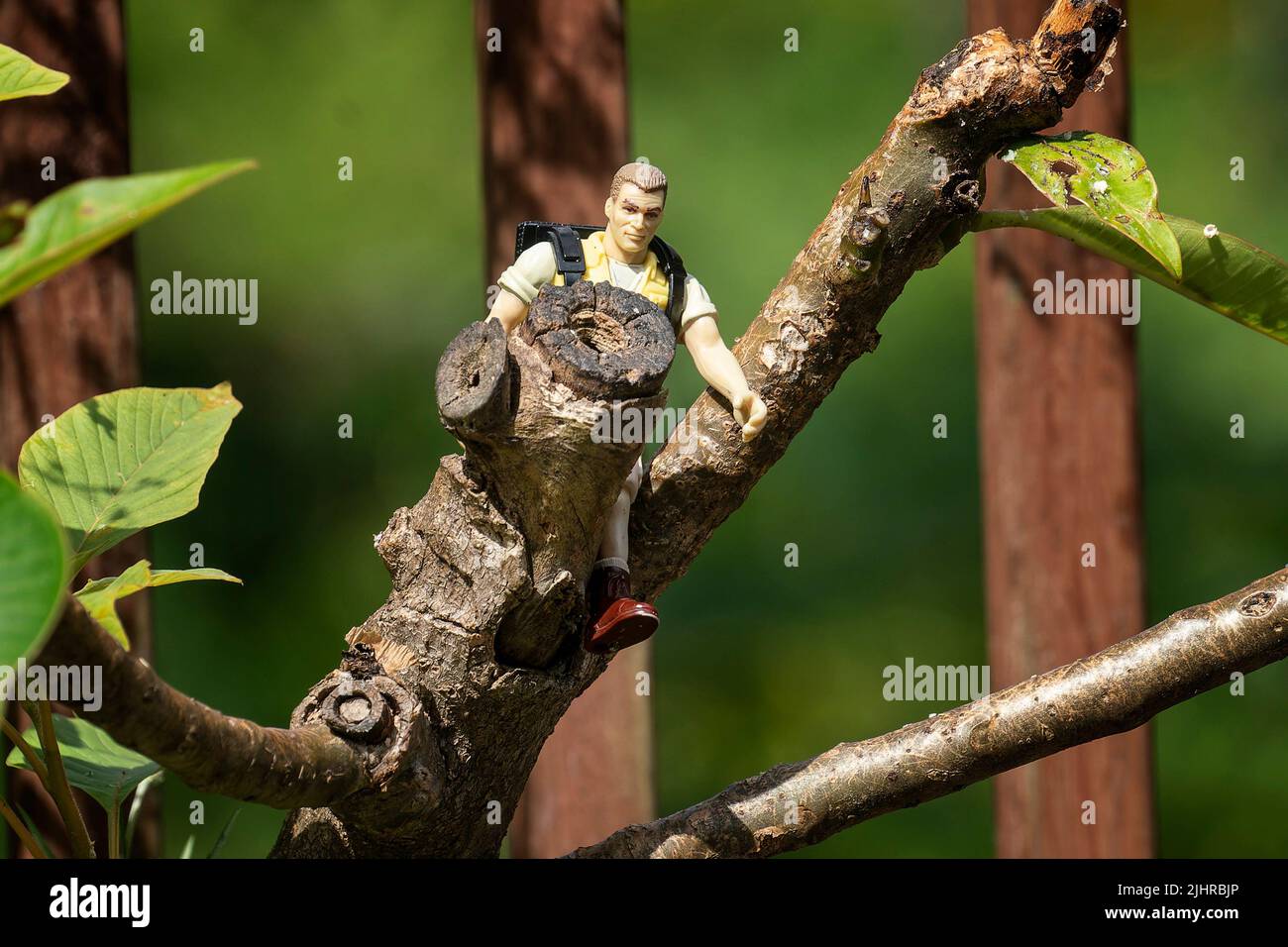 Strange figure climbing a tree Stock Photo