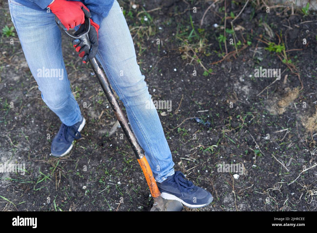 Legs of a person ploughing the land Stock Photo