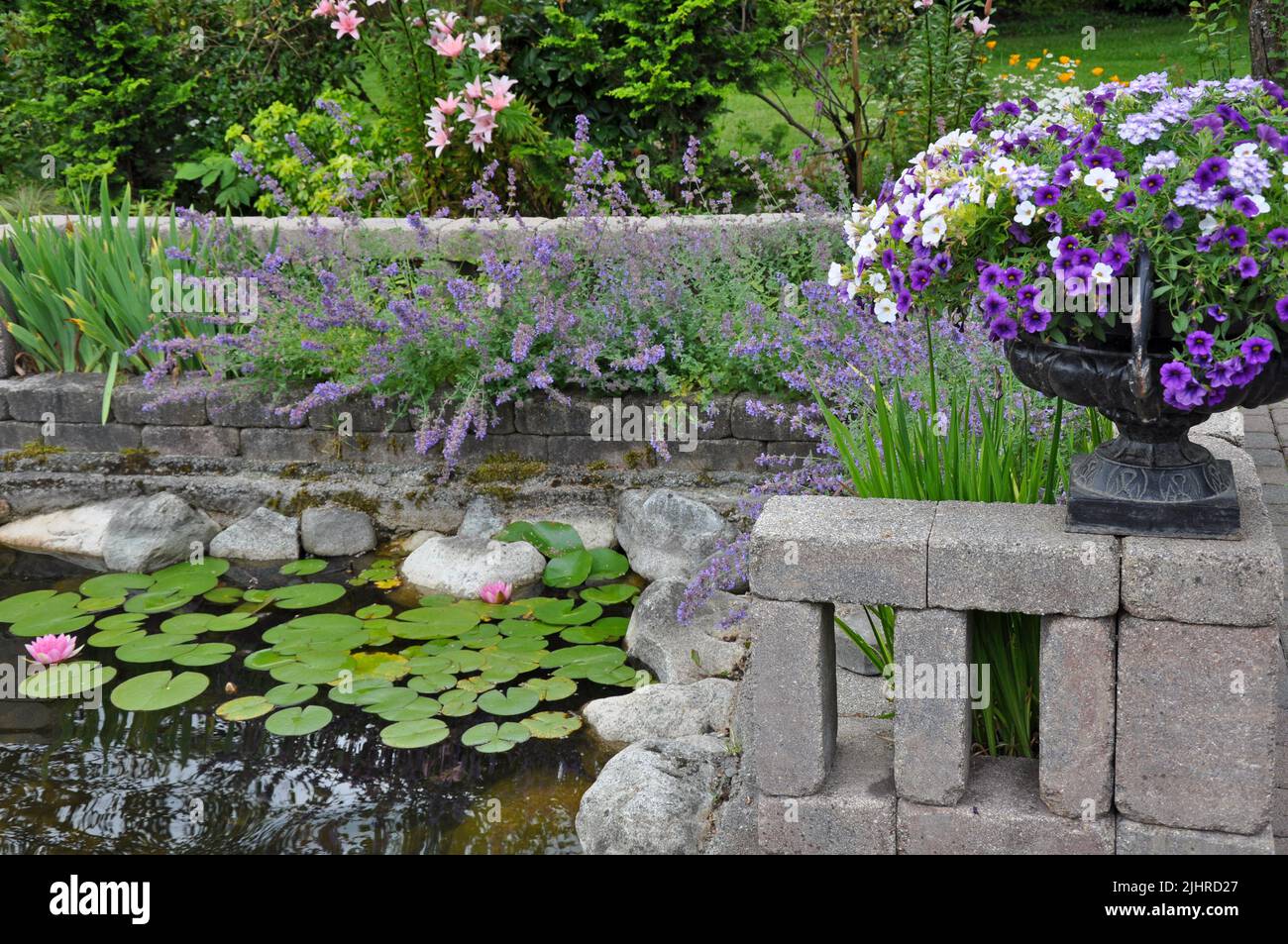 Beautiful summer garden pond surrounded by a variety of plants and