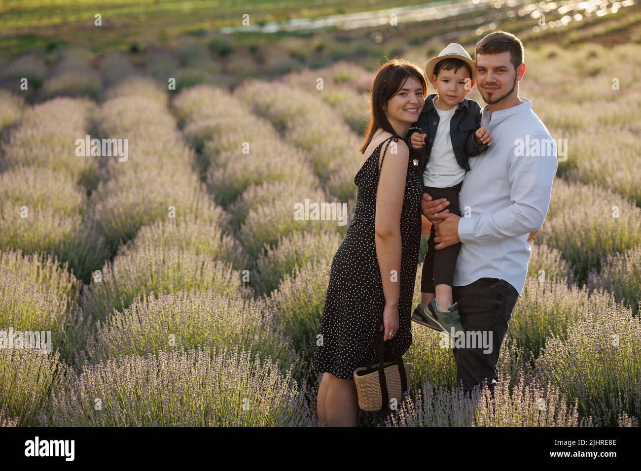 Family portrait in a lavender field Stock Photo - Alamy