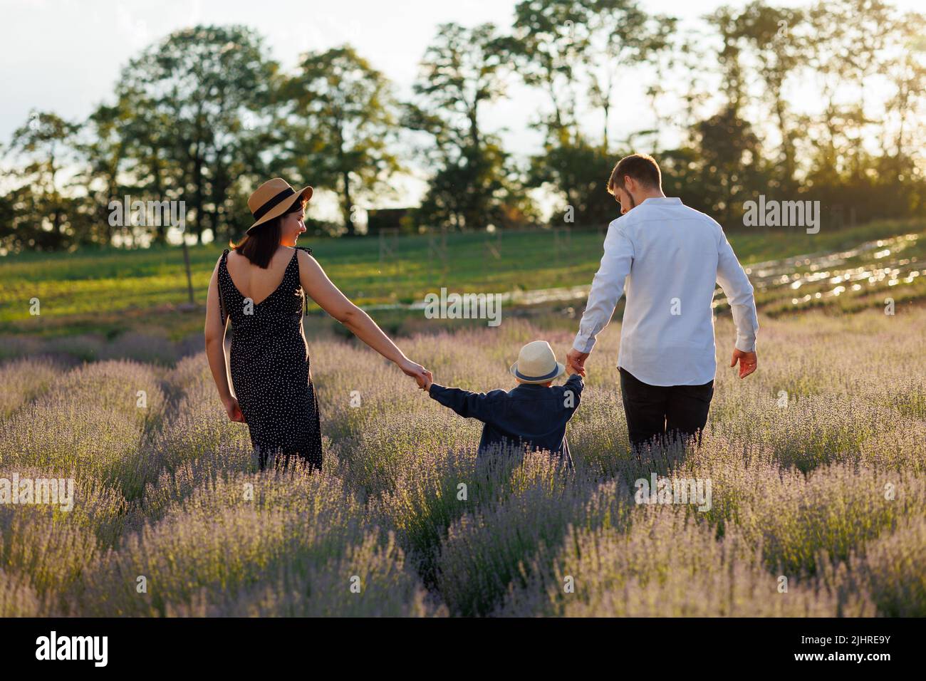 Rear view of a joyful family walking hand in hand through a lavender field at sunset Stock Photo