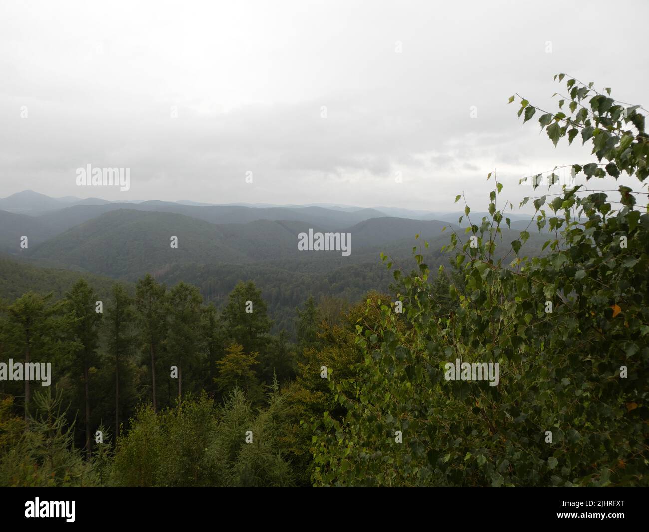 View of Pfälzer Wald on rainy day Stock Photo