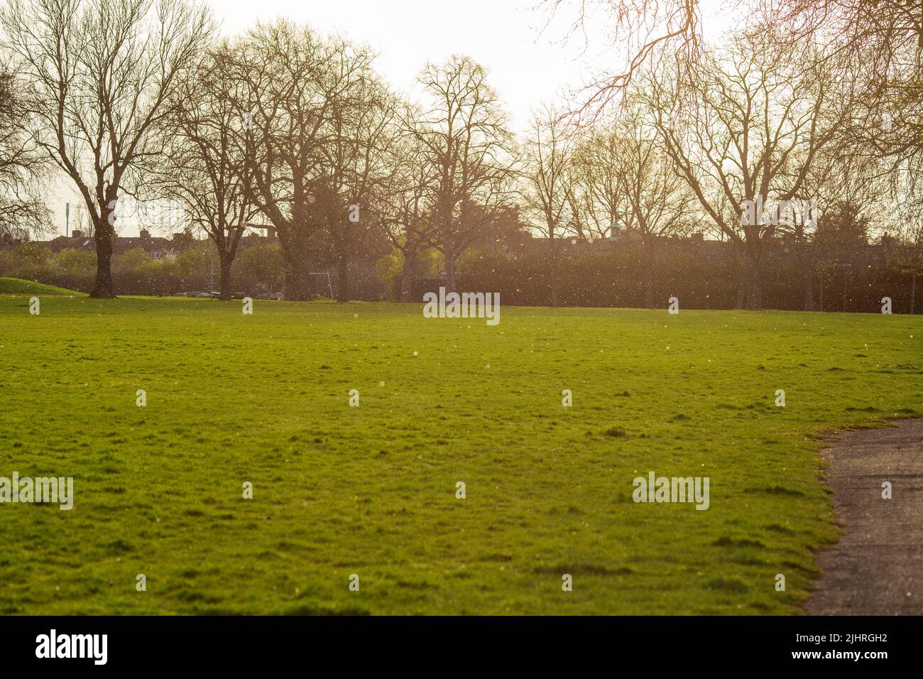 Flakes of snow are seen falling in a park in East London. Stock Photo