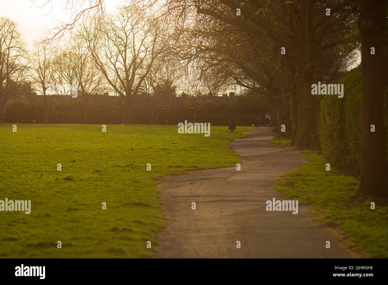 Flakes of snow are seen falling in a park in East London. Stock Photo