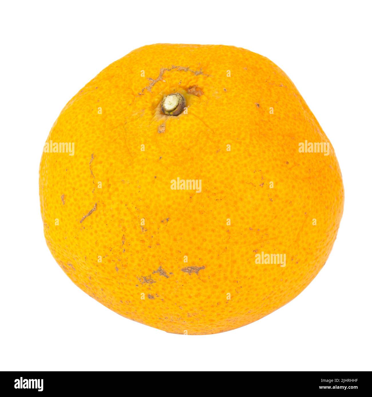 Very Rotten Orange orange. rotten. dirty. isolated on white background Stock Photo - Alamy