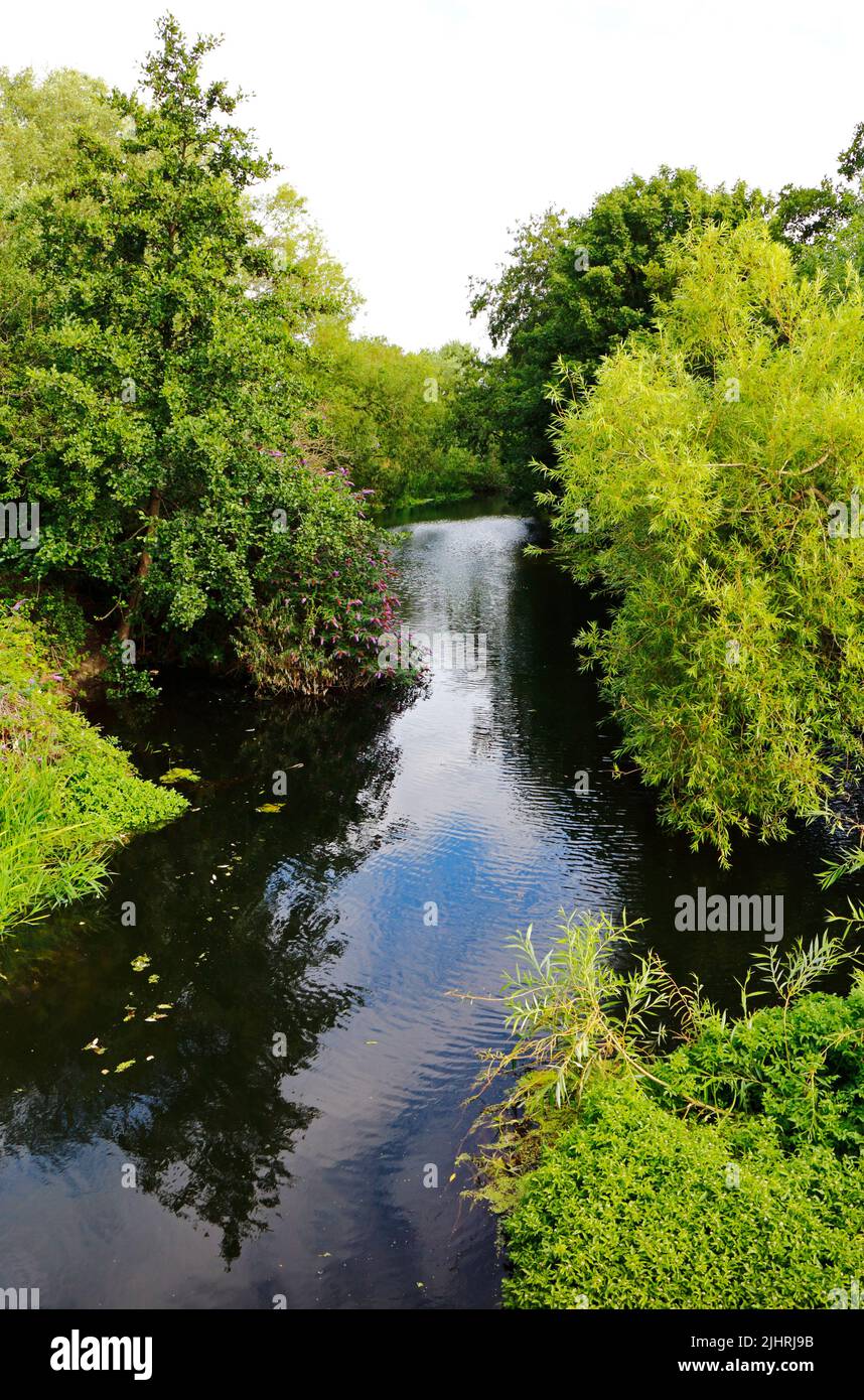 A view of the River Wensum in summer upstream of St Crispin's Bridge in the north of the City of Norwich, Norfolk, England, United Kingdom. Stock Photo