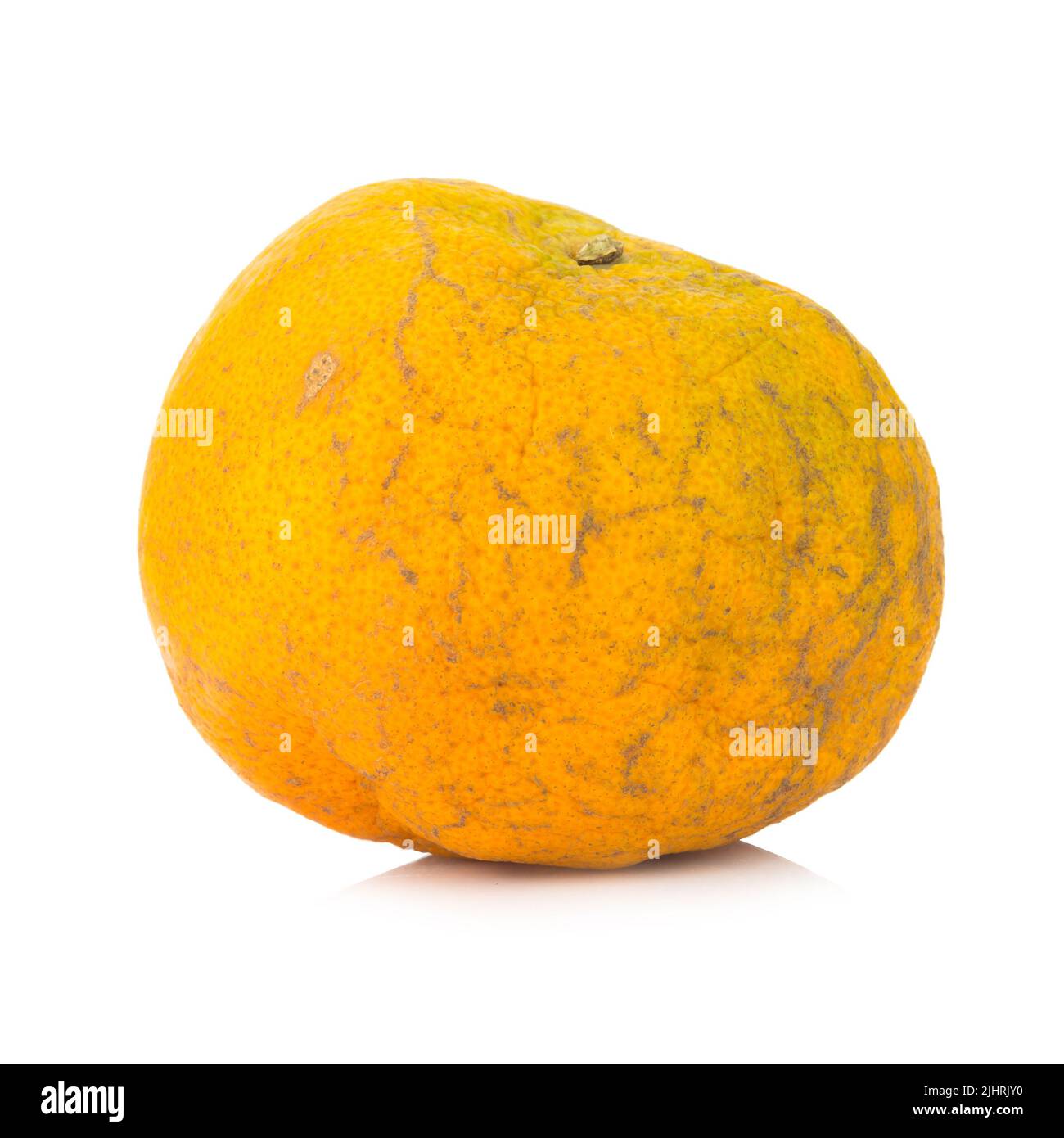 Very Rotten Orange orange. rotten. dirty. isolated on white background Stock Photo - Alamy