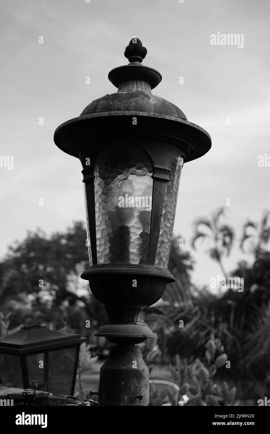 A vertical grayscale of a street lamp with trees in the background Stock Photo