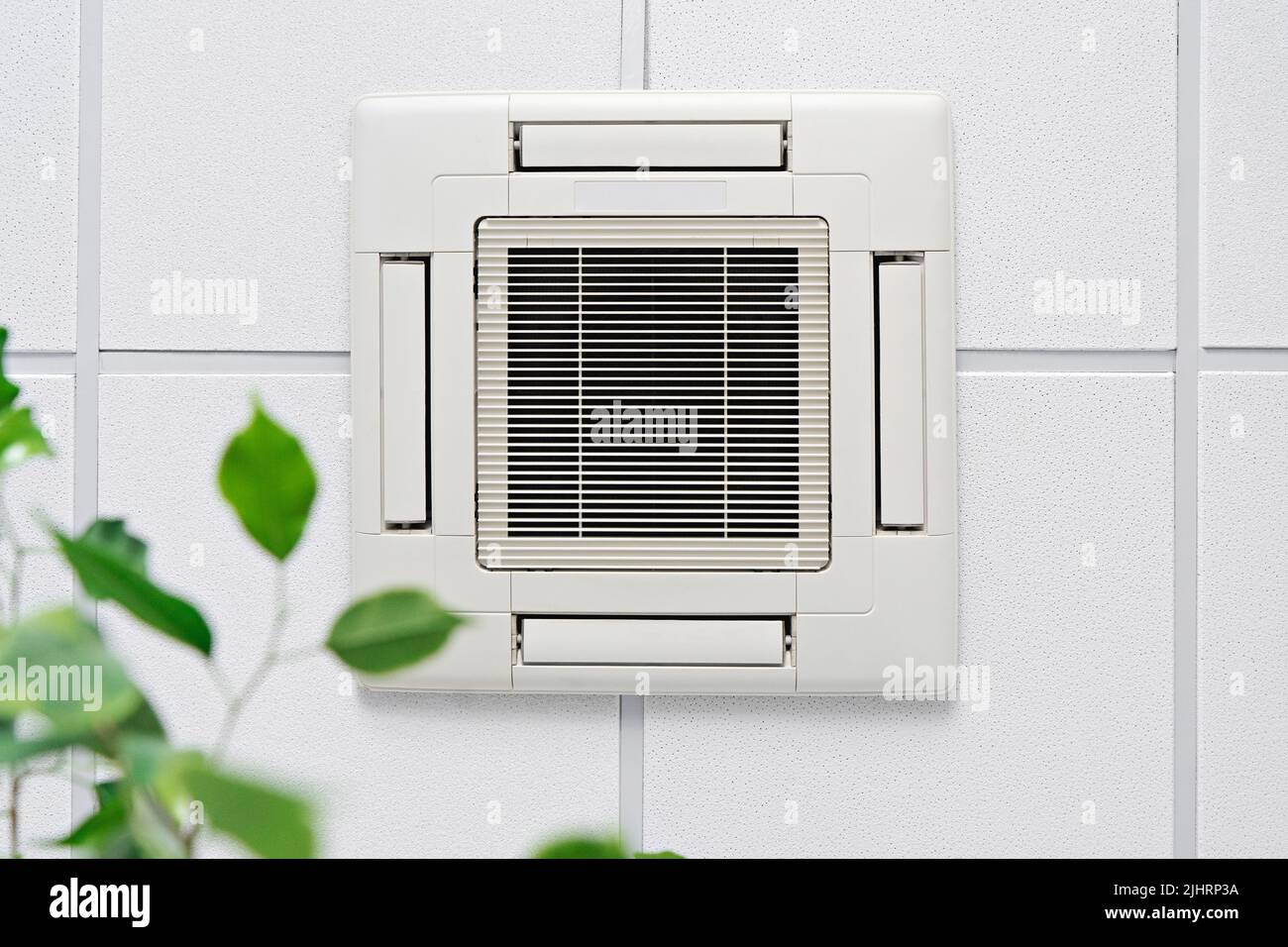 Cassette Air Conditioner on ceiling in modern light office or apartment with green ficus plant leaves. Indoor air quality and clean filters concept Stock Photo