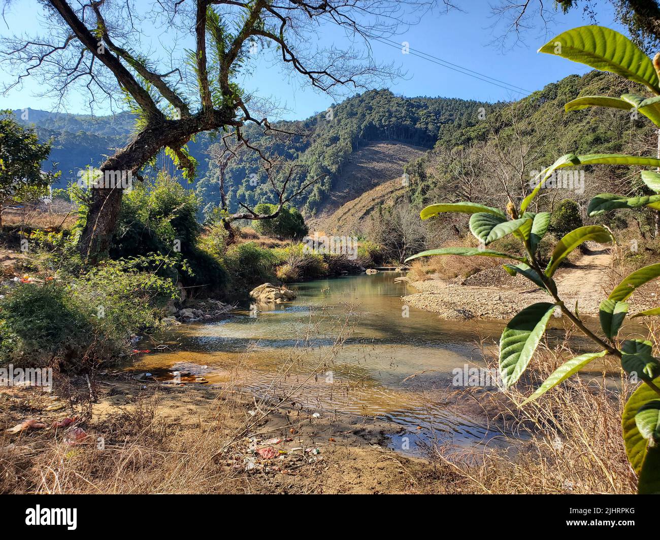 A dirty shallow stream flowing through green plants and trees in the valley Stock Photo