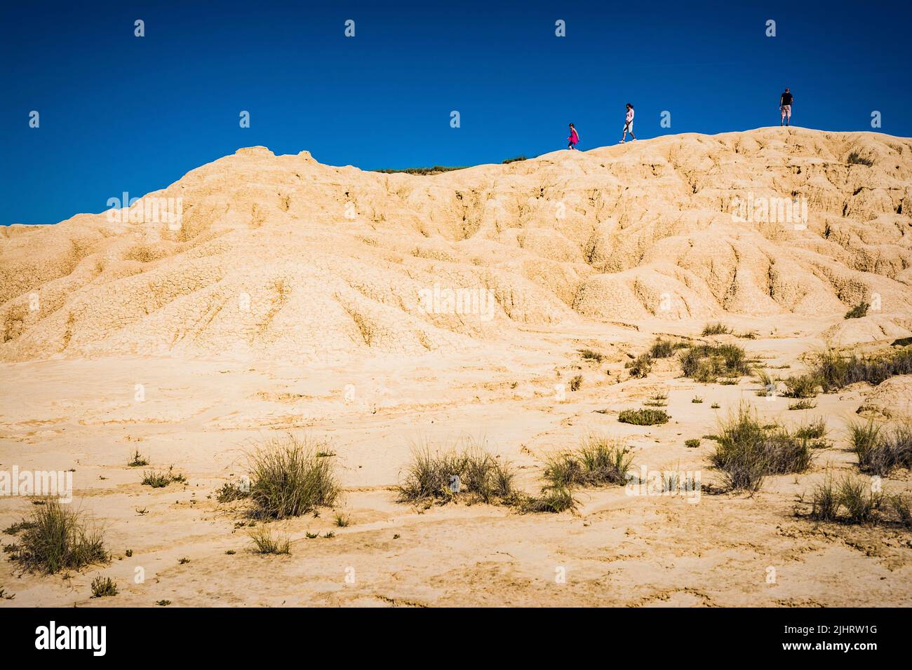 The scarce vegetation in Bárdena Blanca is adapted to the poverty of the desert soil. Bardenas Reales Natural Park. Navarra, Spain, Europe Stock Photo