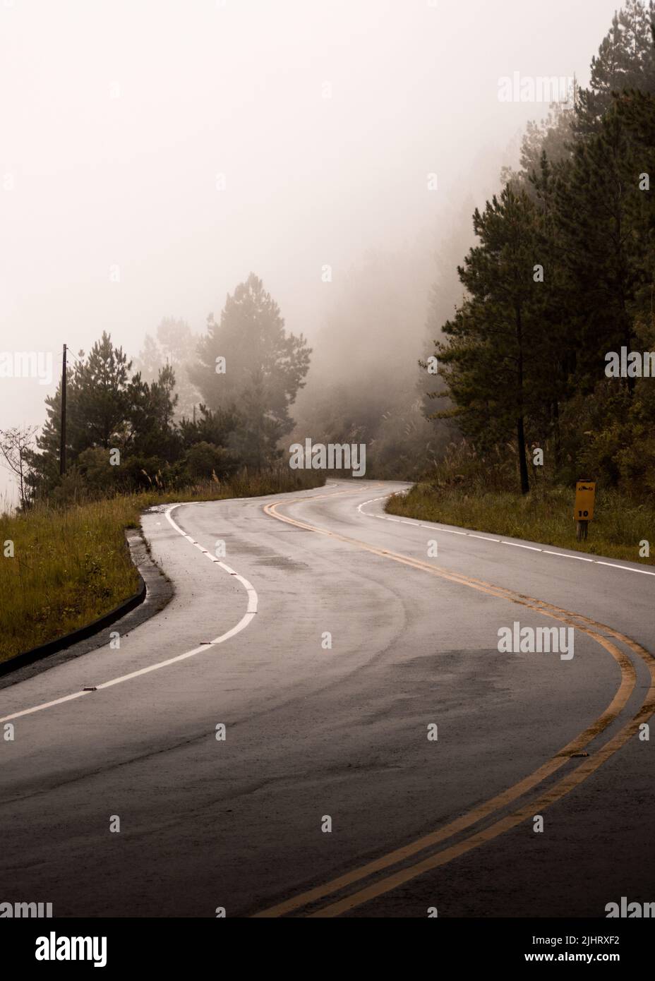 A vertical shot of a road in nature on a foggy day Stock Photo - Alamy