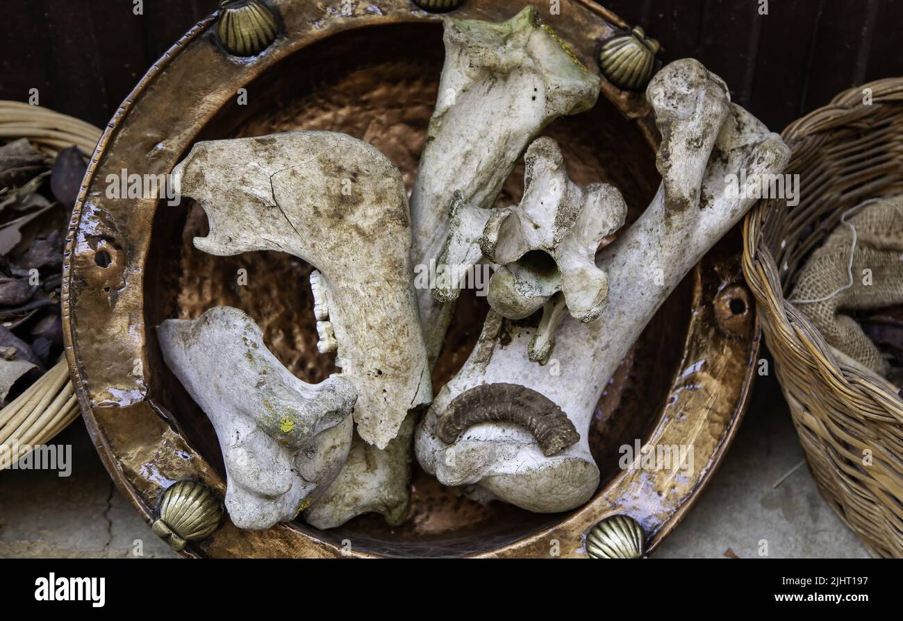 Detail of anima bones for witchcraft ritual Stock Photo