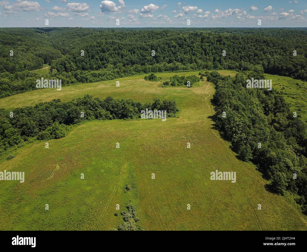 An aerial view of a field surrounded by a green dense forest Stock ...