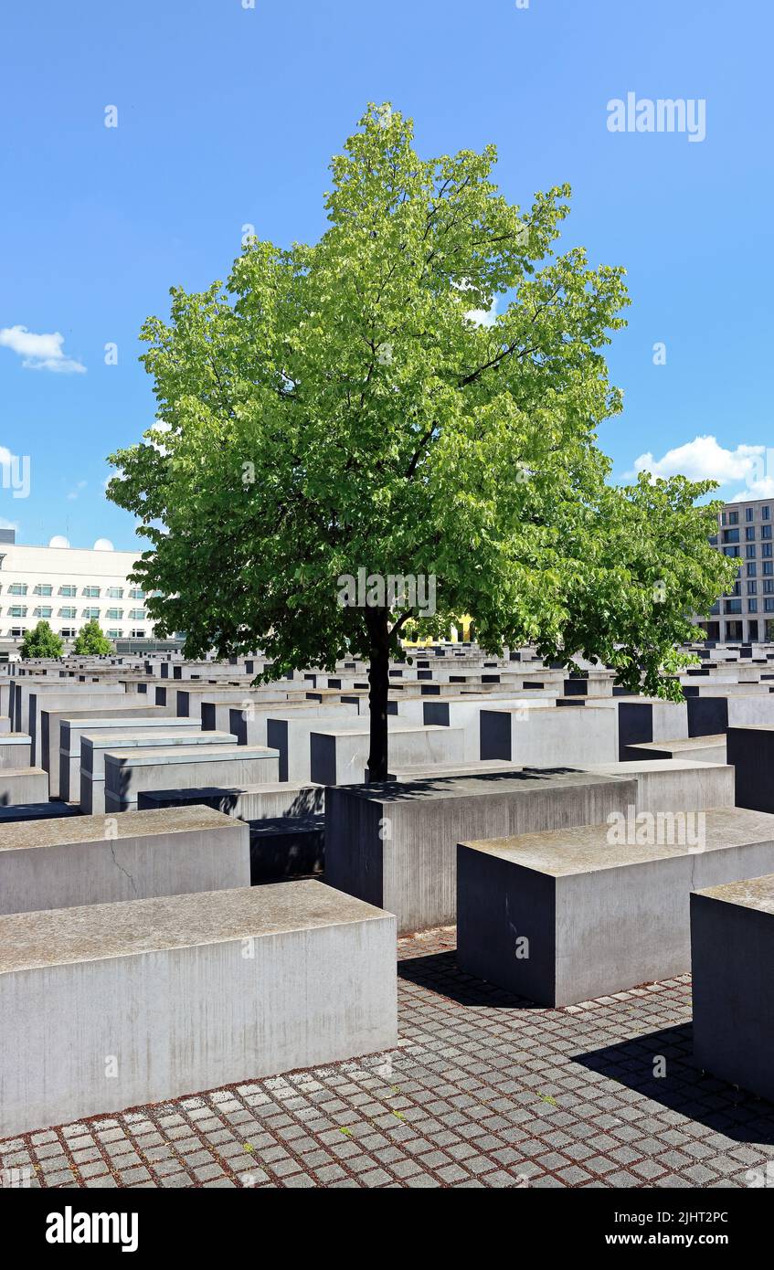 agentur für arbeit berlin mitte termin