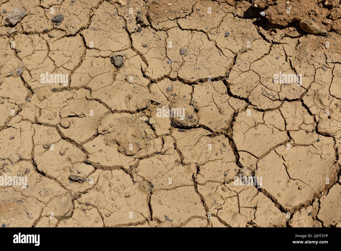 Dry cracked earth texture background Stock Photo - Alamy