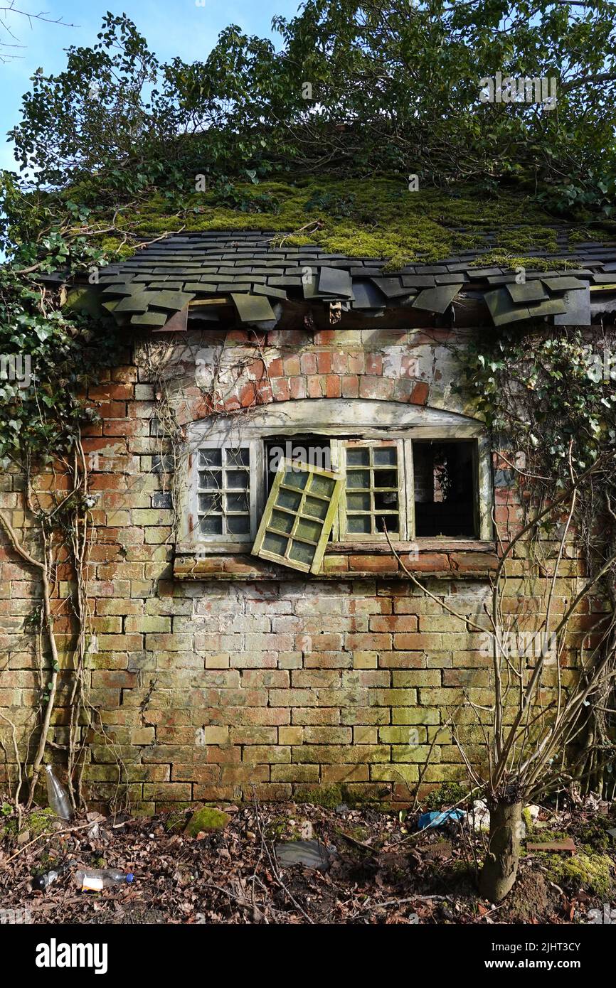Overgrown Building Tree A derelict building overgrown with trees and plants Stock Photo - Alamy