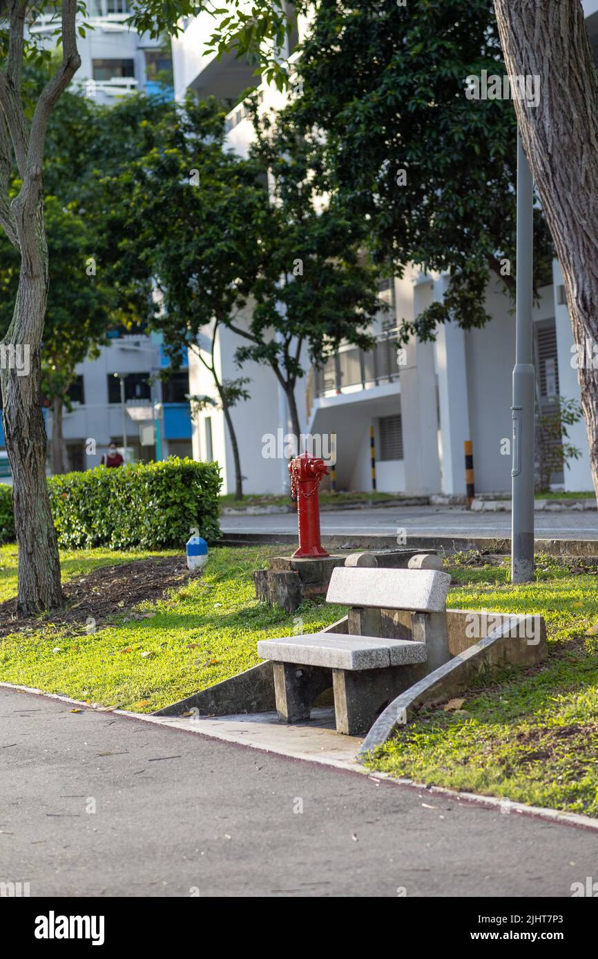 A bench in the park in Singapore Stock Photo Alamy