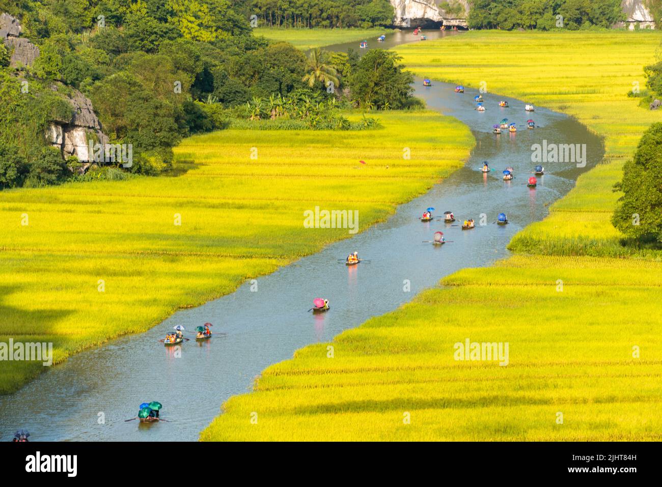 Majestic View Of Tam Coc Valley With Ngo Dong River Flowing Amid Rice  Paddies In Ninh Binh Vietnam High-Res Stock Photo - Getty Images