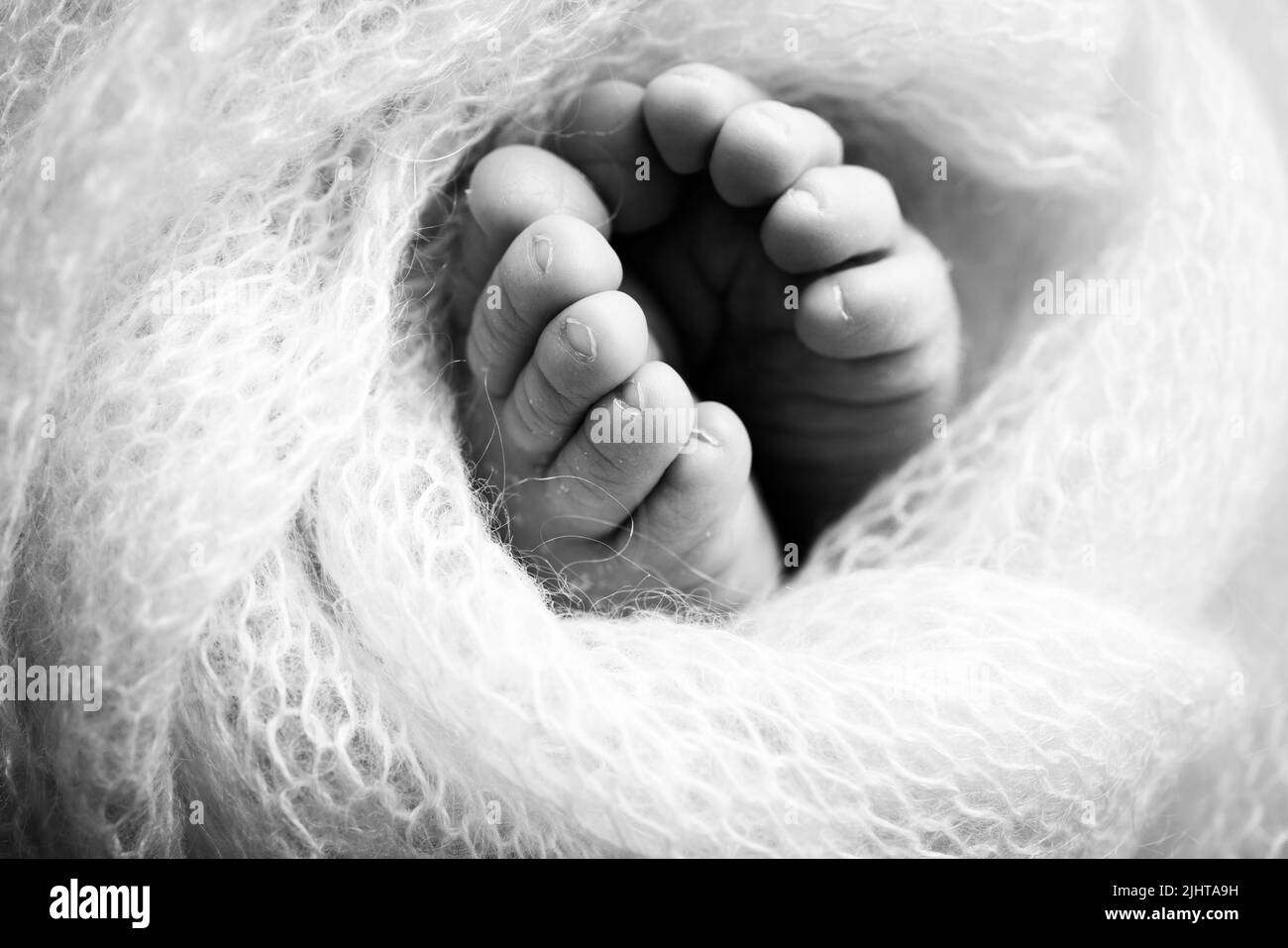 Soft feet of a newborn in a woolen blanket .The tiny foot of a newborn. Baby feet covered with isolated background.  Stock Photo