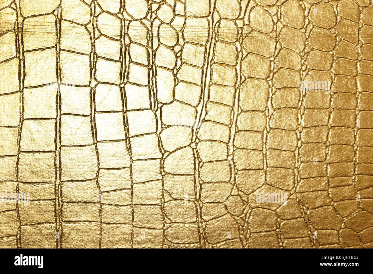 Brownish Red Faux Crocodile Skin Texture Stock Photo, Picture and Royalty  Free Image. Image 10605855.