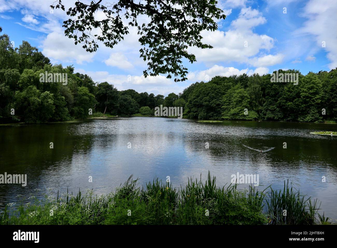 The lower lake at Nostell Priory. Stock Photo